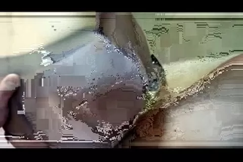 公司秘書 想被開菊花