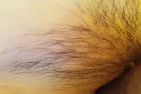 帳篷裡啪啪啪