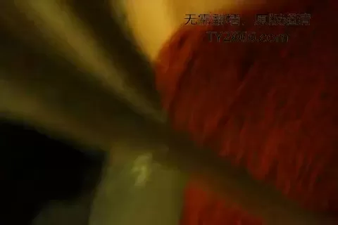 武大清纯校花黑丝诱惑国模秦先生